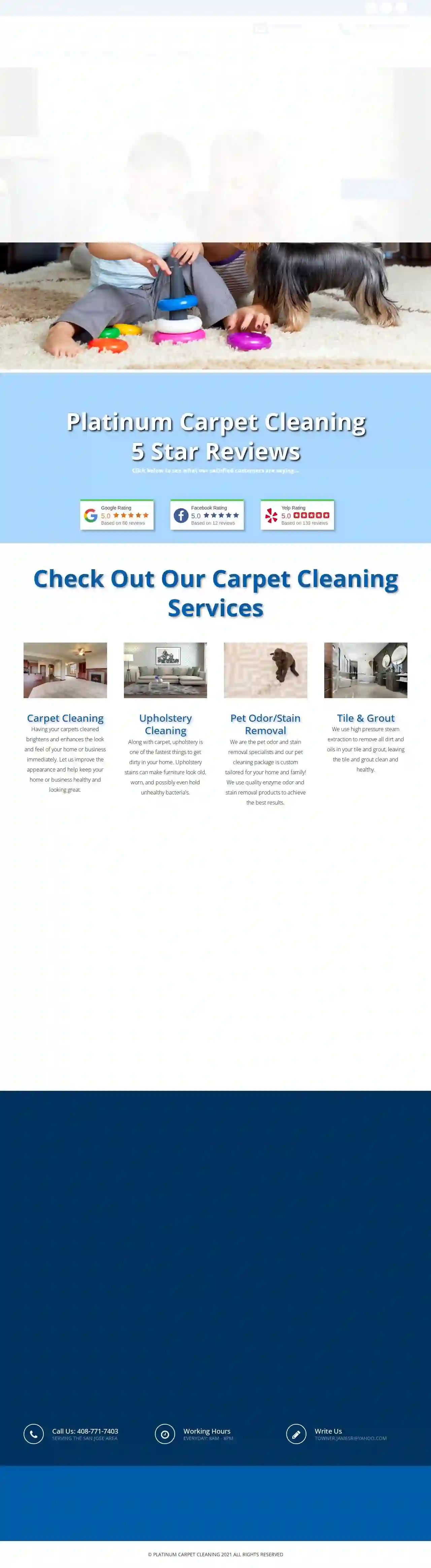 PLATINUM CARPET CLEANING