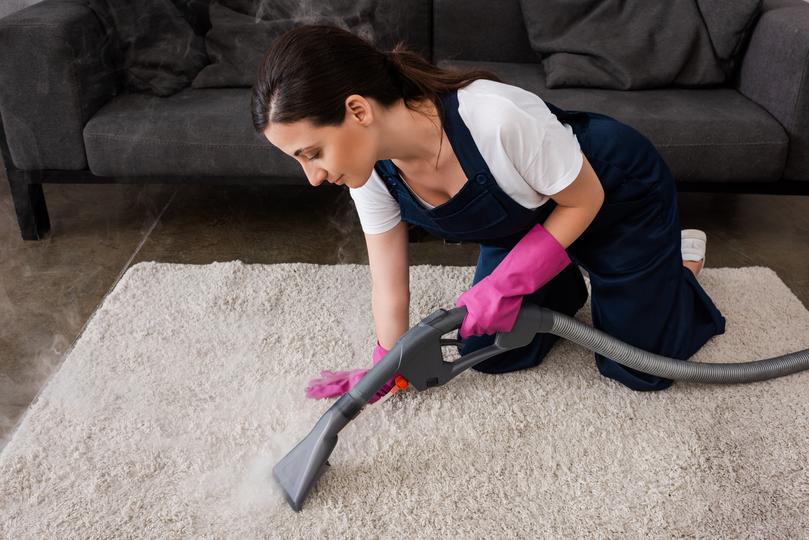 A carpet cleaning professional cleaning a carpet in a home