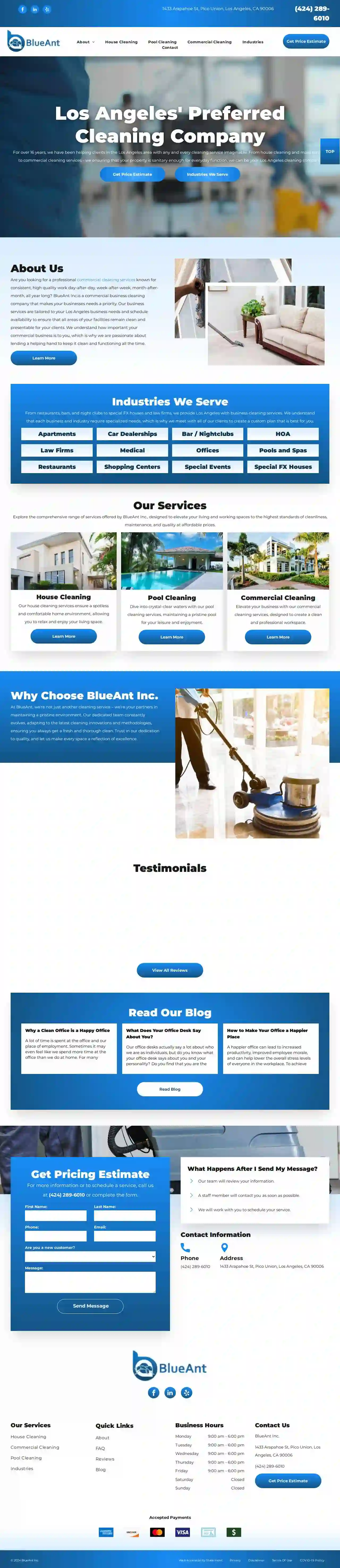 BlueAnt Cleaning Services