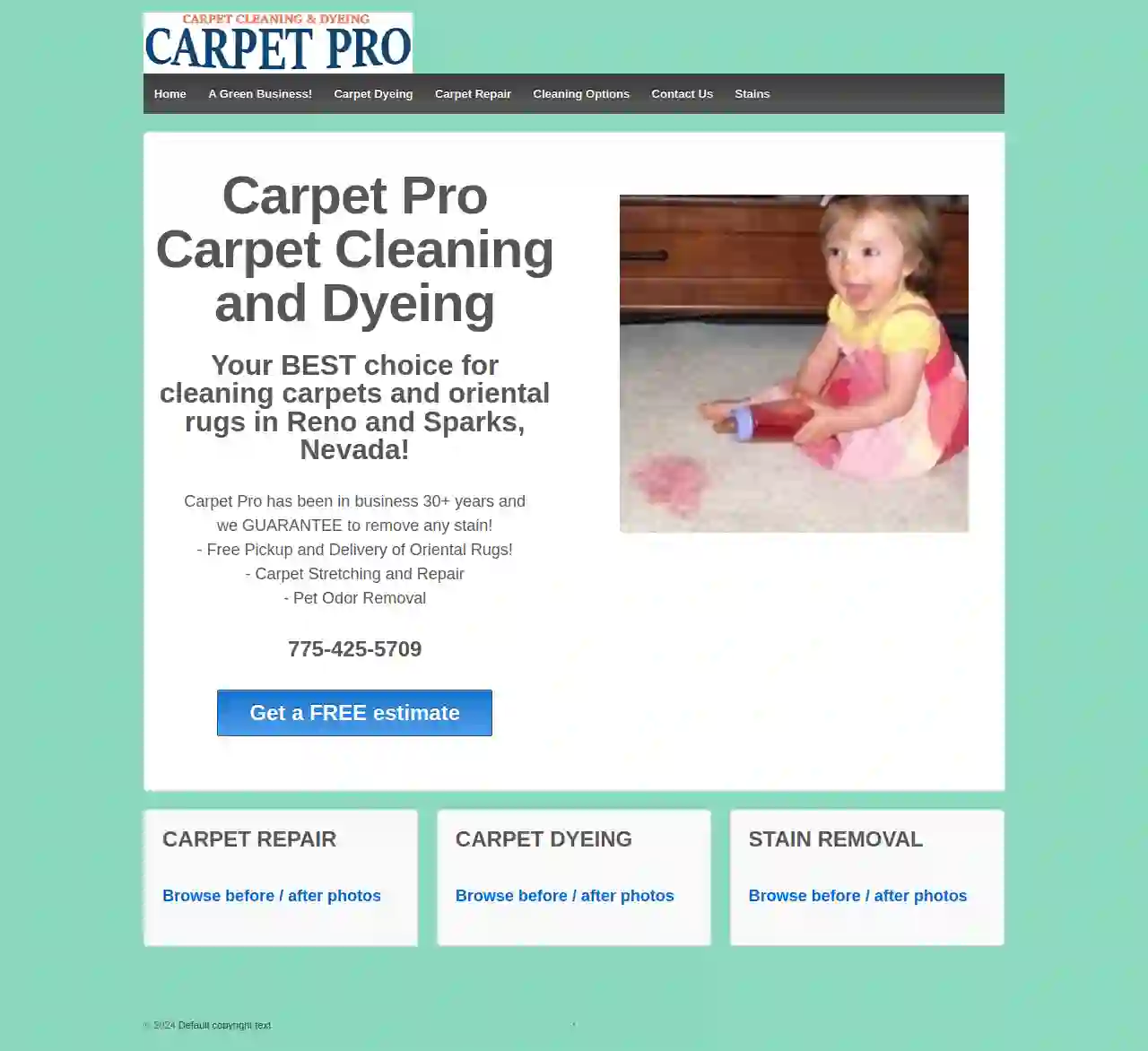 Carpet Pro Carpet Cleaning and Dyeing