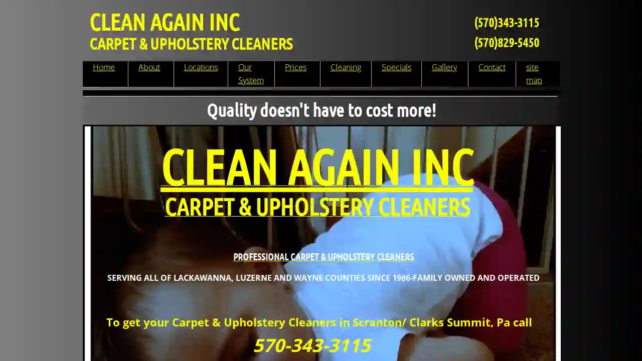 Clean Again Inc Carpet & Upholstery Cleaners