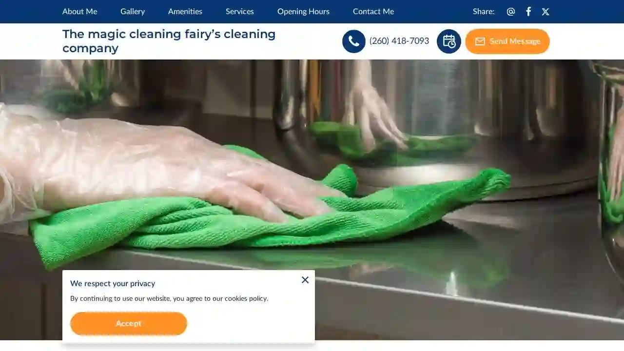 The magic cleaning fairy’s cleaning company