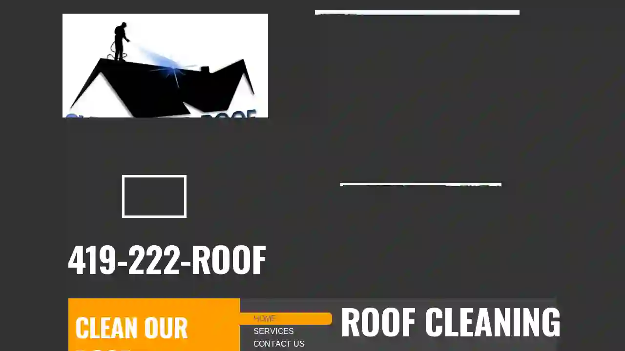 Clean Our Roof