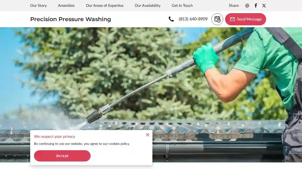 Precision Pressure Washing