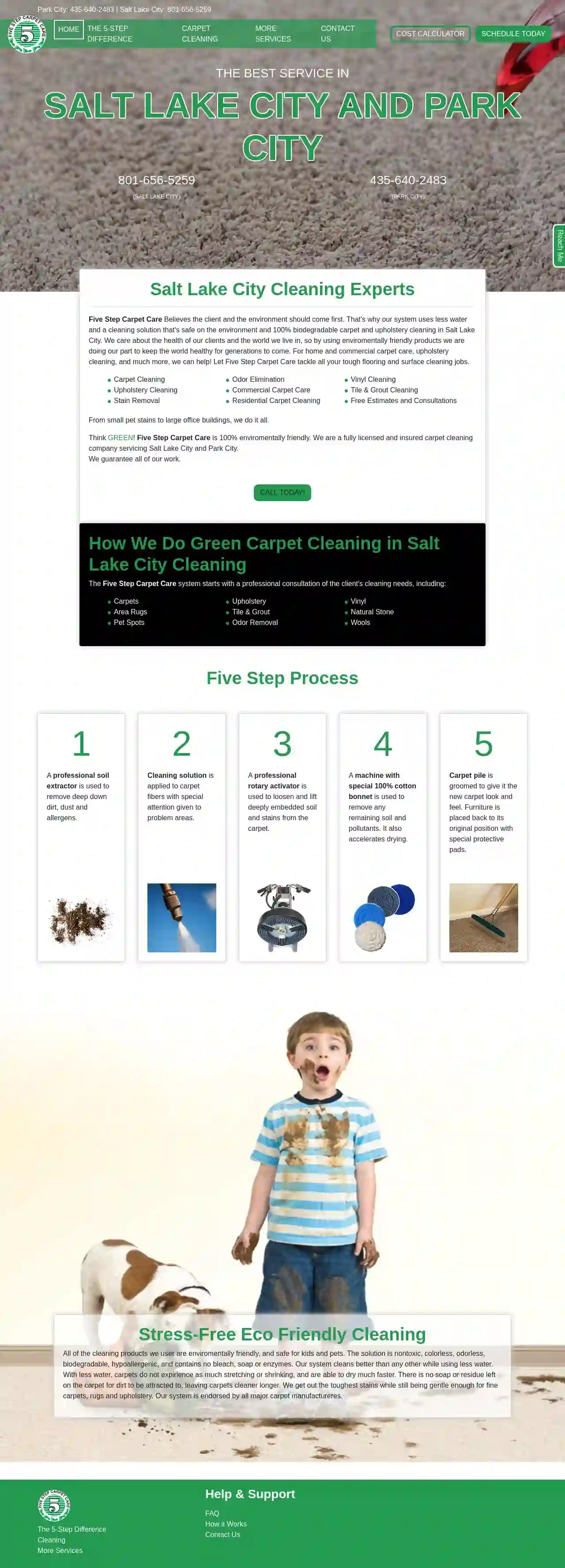 Five Step Carpet Care