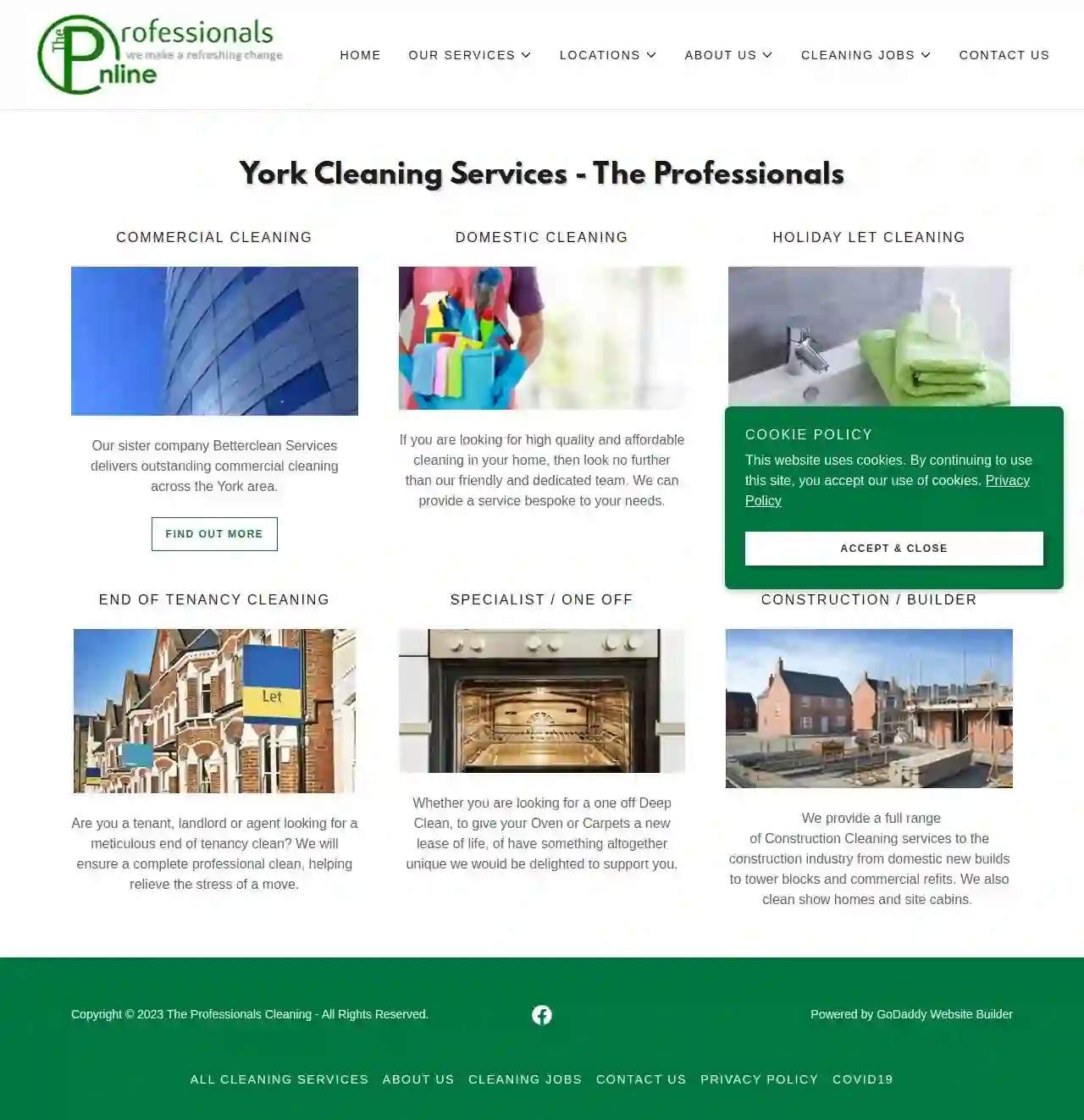 The Professionals Cleaning York