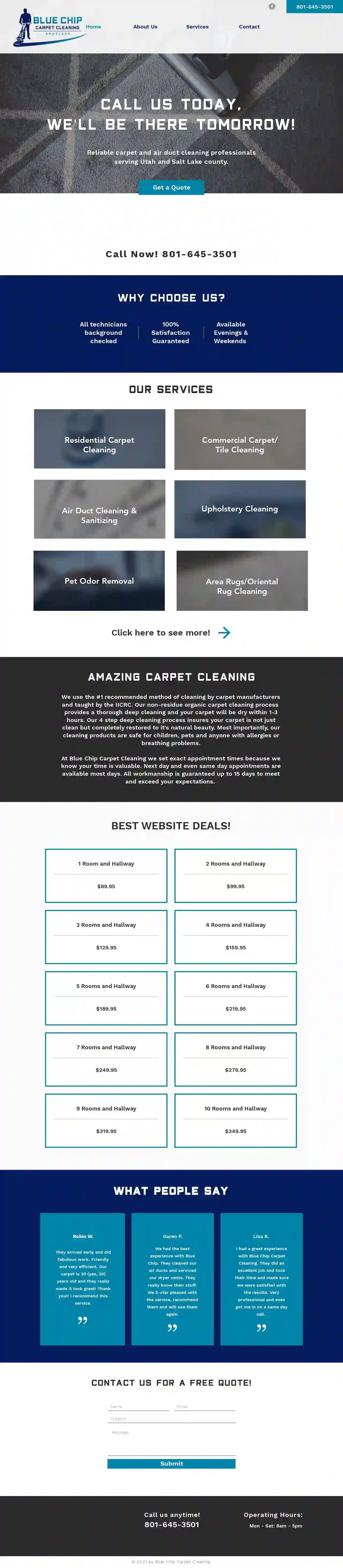 Blue Chip Carpet Cleaning