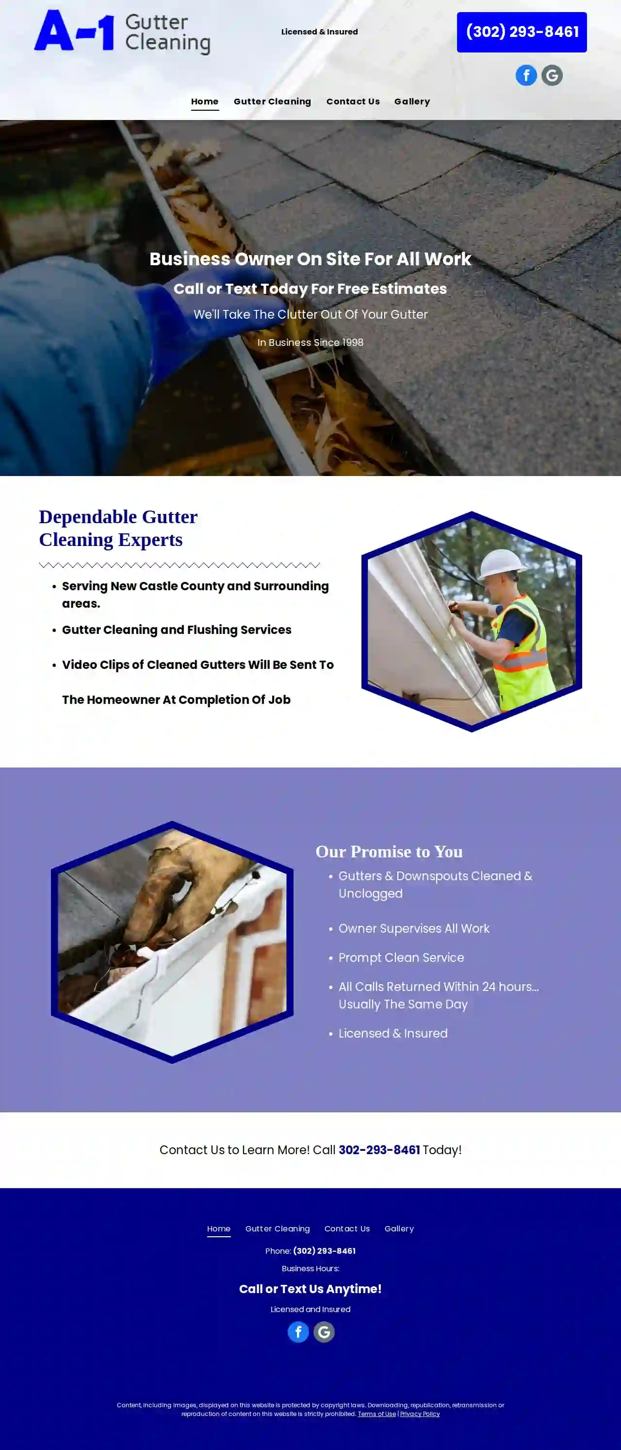 Gutter Cleaning