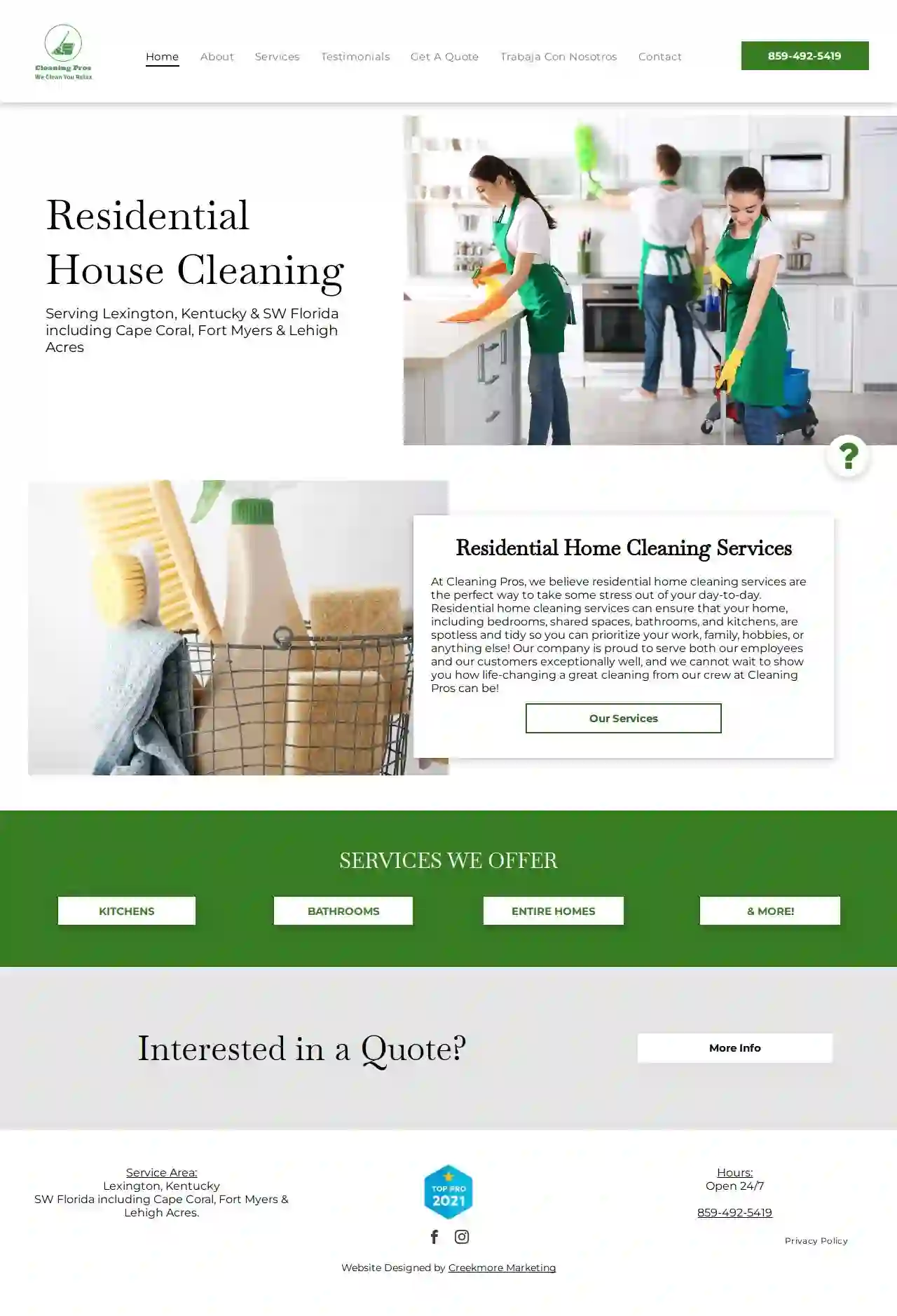 Cleaning Pros