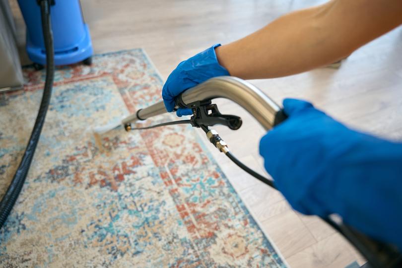 A carpet cleaning professional cleaning a carpet in a home